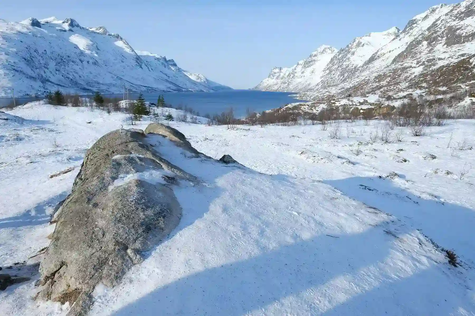 landscape (1)